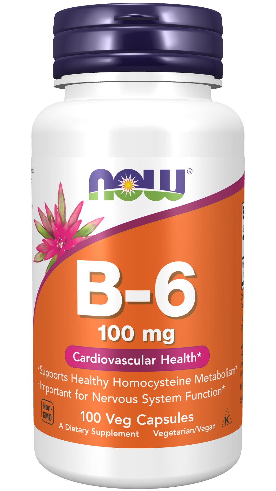 B-6 100mg, 100 VCaps