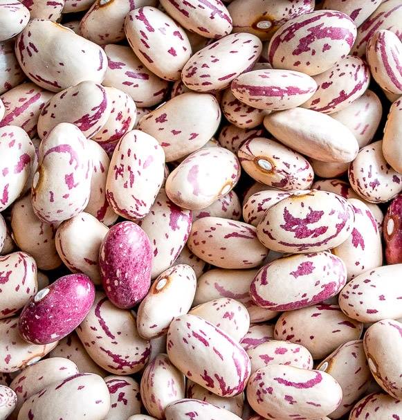Organic Cranberry Beans, Dry