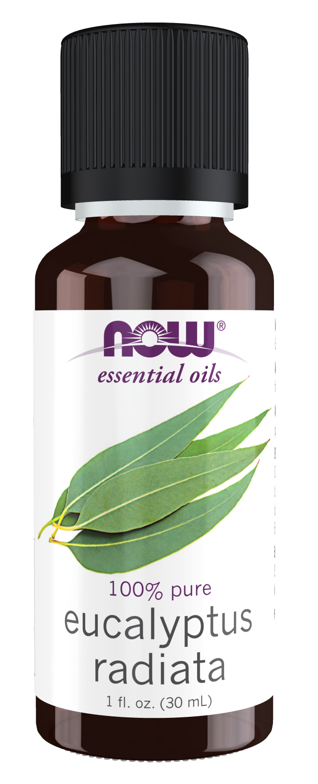 Now Eucalyptus Radiata 100% Pure 1 fl. oz.