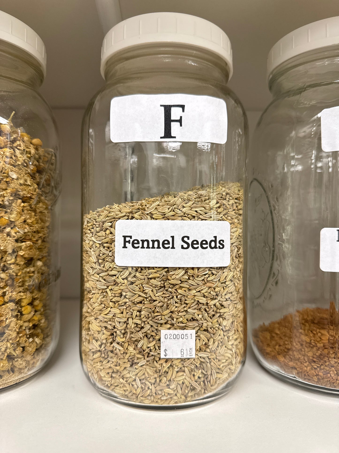 Fennel Seeds