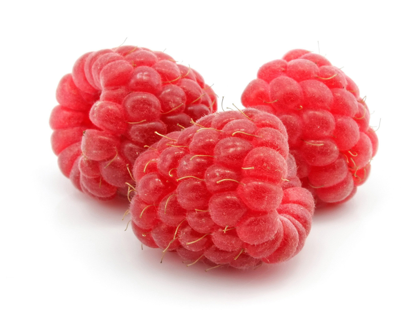 Raspberries, Organic, Farm Fresh