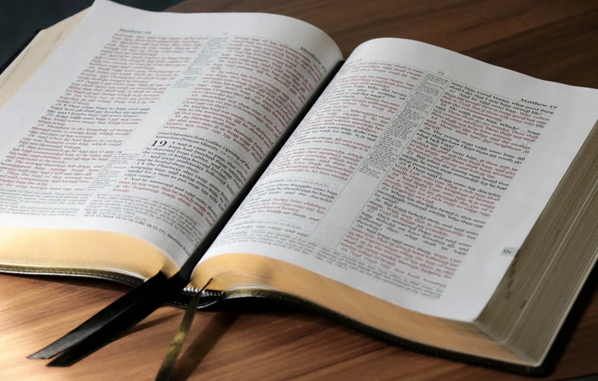 Academy Study Bible
