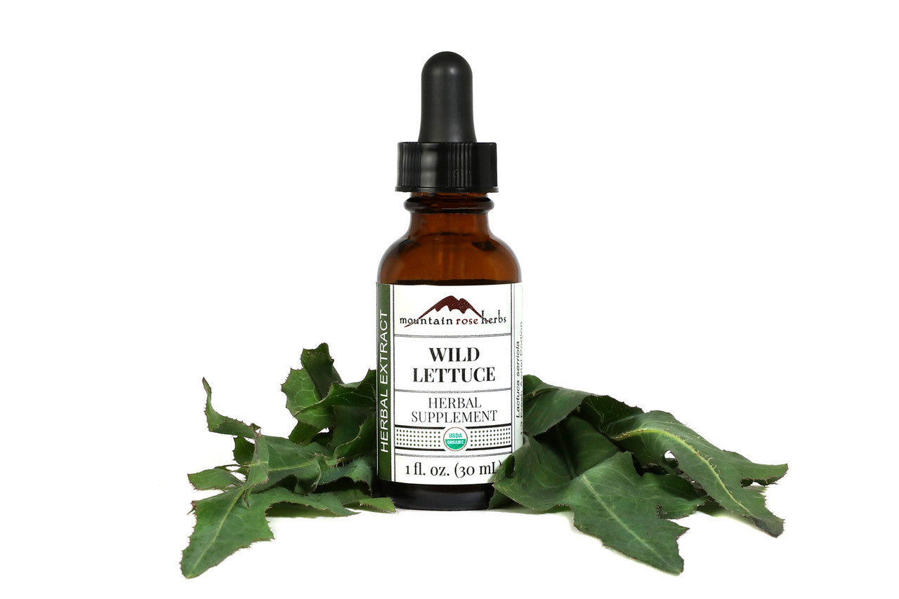 Mountain Rose Herbs Wild Lettuce Tincture 1 fl oz