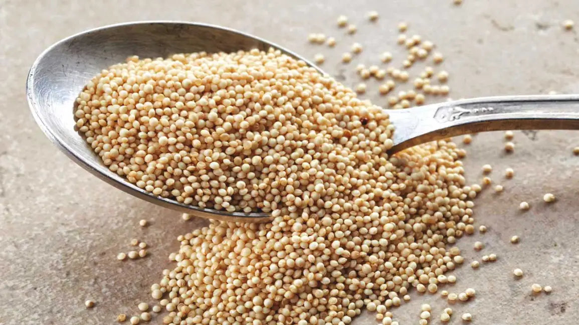 Organic Amaranth 1 lb