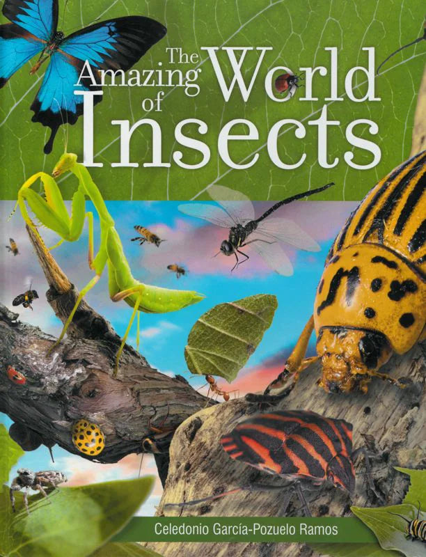 The Amazing World of Insects