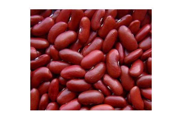 Organic Dark Red Kidney Beans, Dry, 2 LB