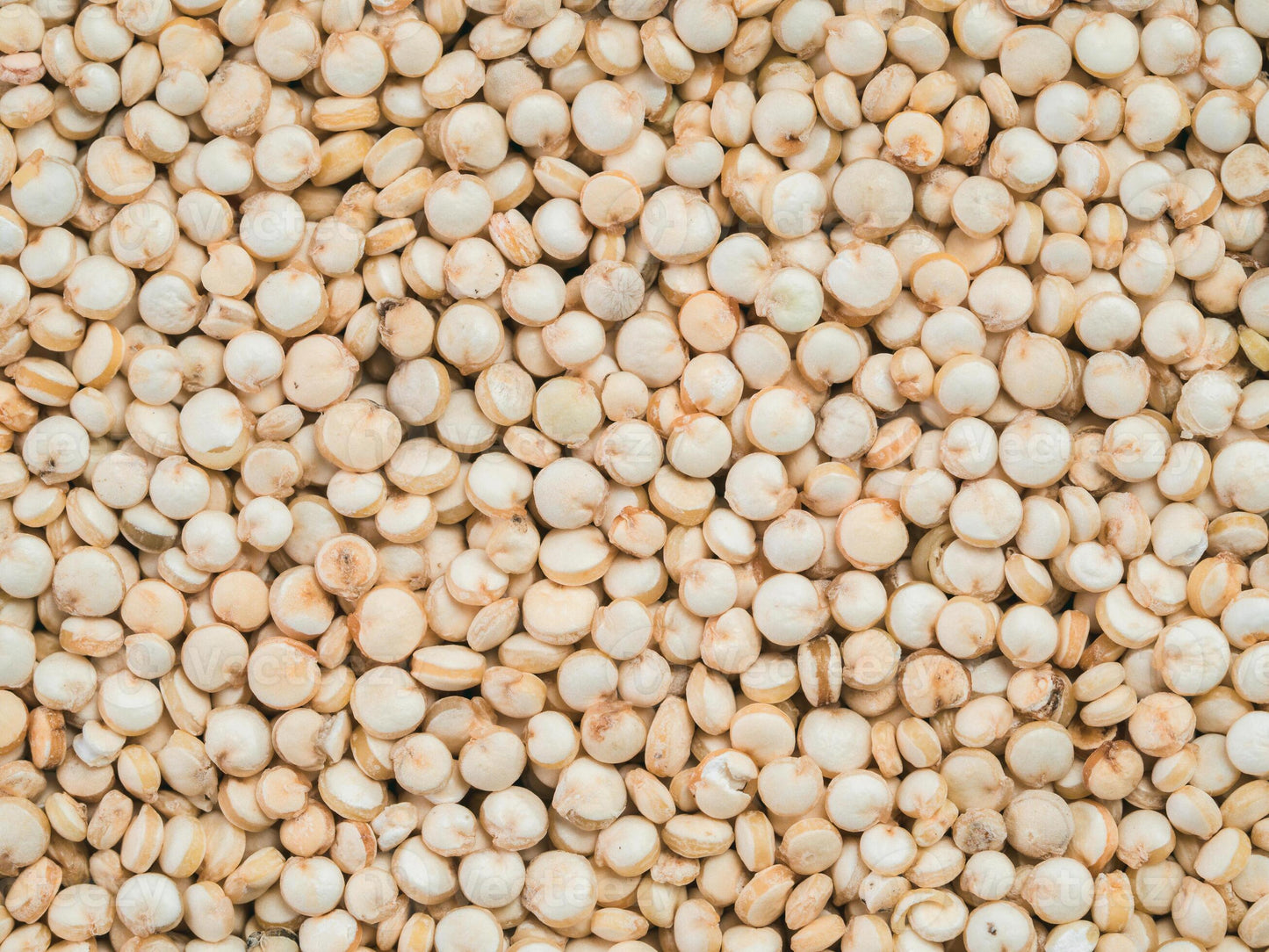 Organic Quinoa 1 lb