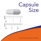 Grape Seed Extract, Maximum Strength,  500 mg
