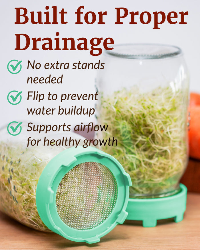 Elementi Sprouting Lid - Green