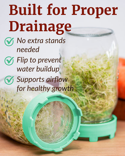 Elementi Sprouting Lid - Green