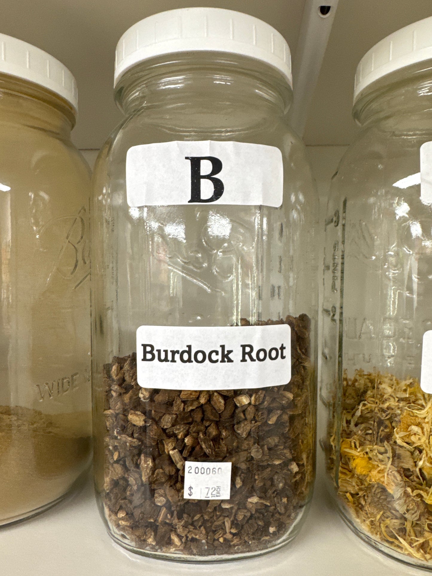 Burdock Root