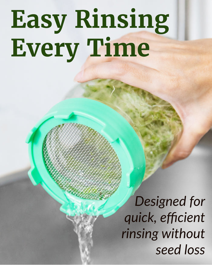 Elementi Sprouting Lid - Green