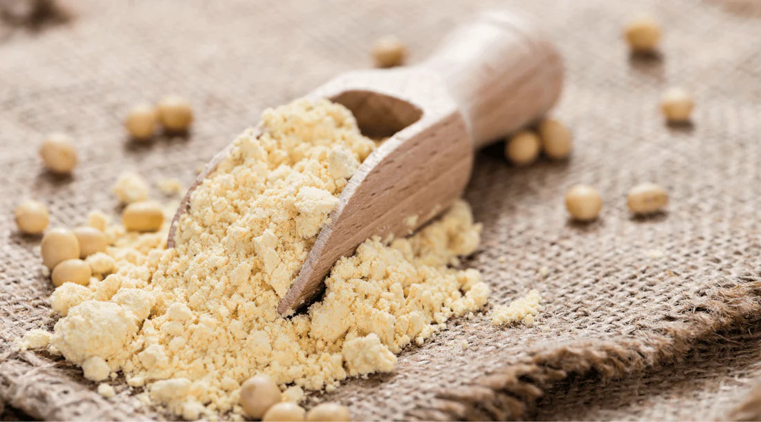Organic Soy Flour 2 lb.