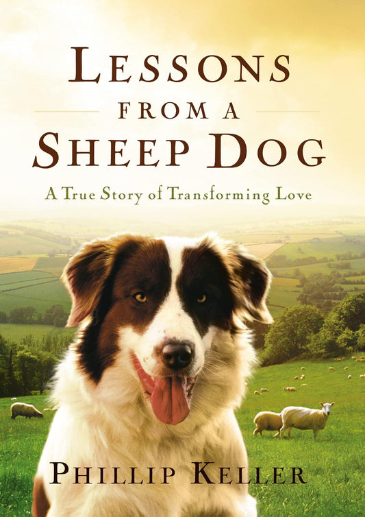Lessons From a Sheep Dog
