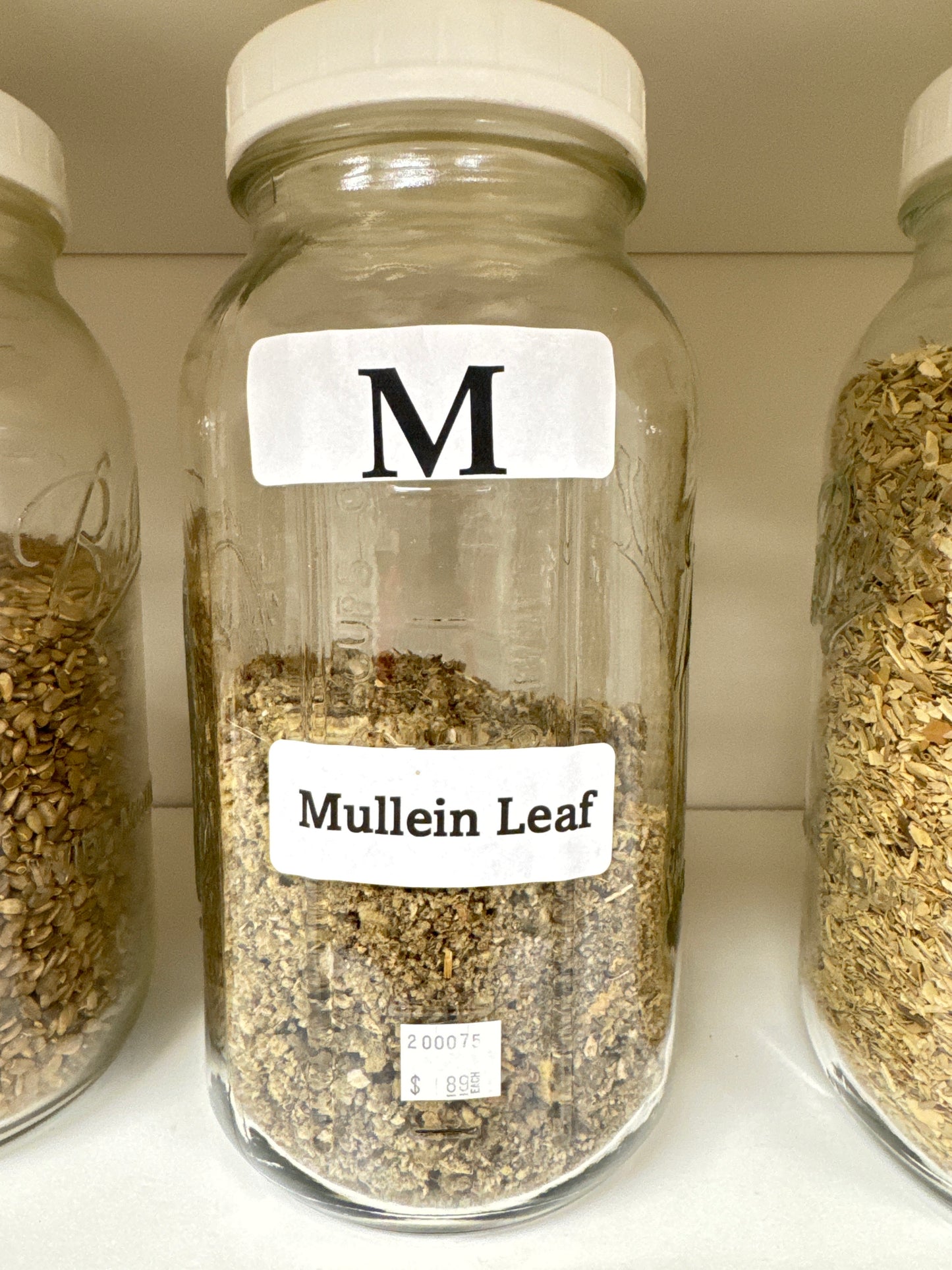 Mullein Leaf