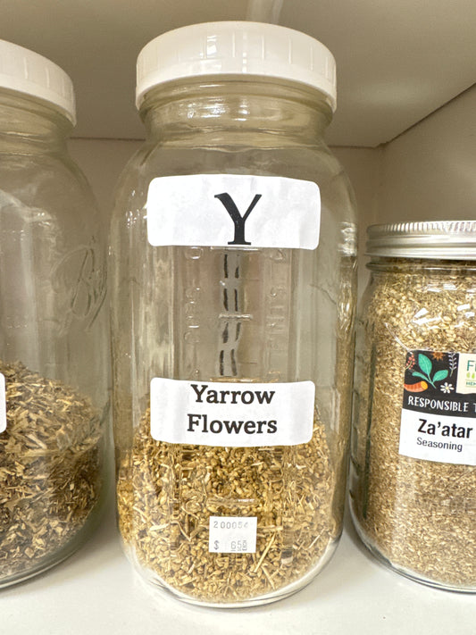Yarrow Flowers