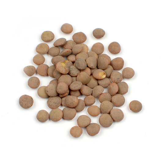 Spanish Brown Lentils, Organic