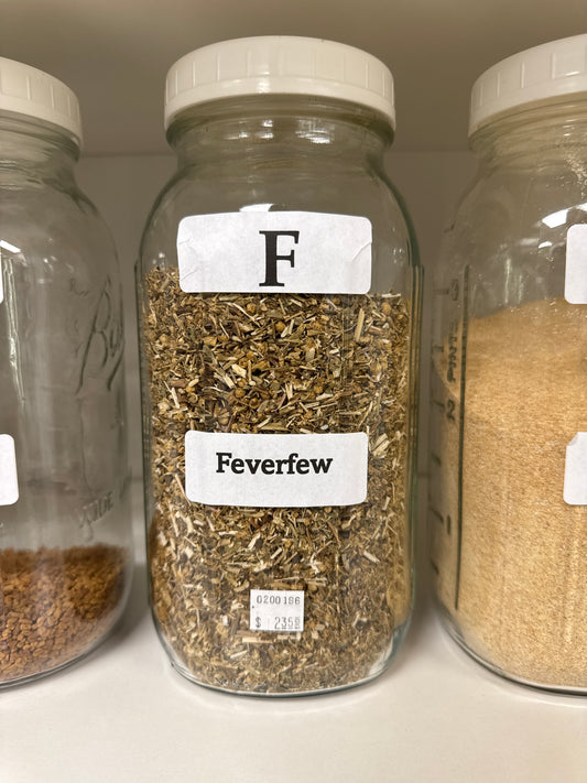 Feverfew