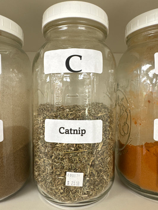 Catnip