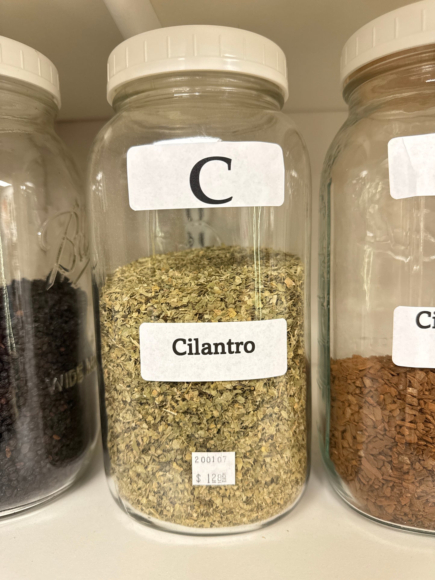 Cilantro