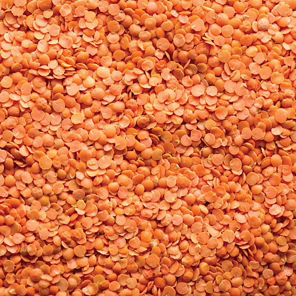 Organic Red Split Lentils, Dry
