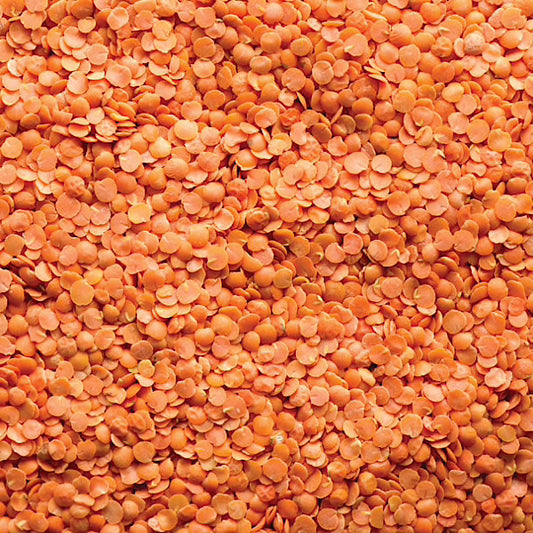 Organic Red Split Lentils, Dry