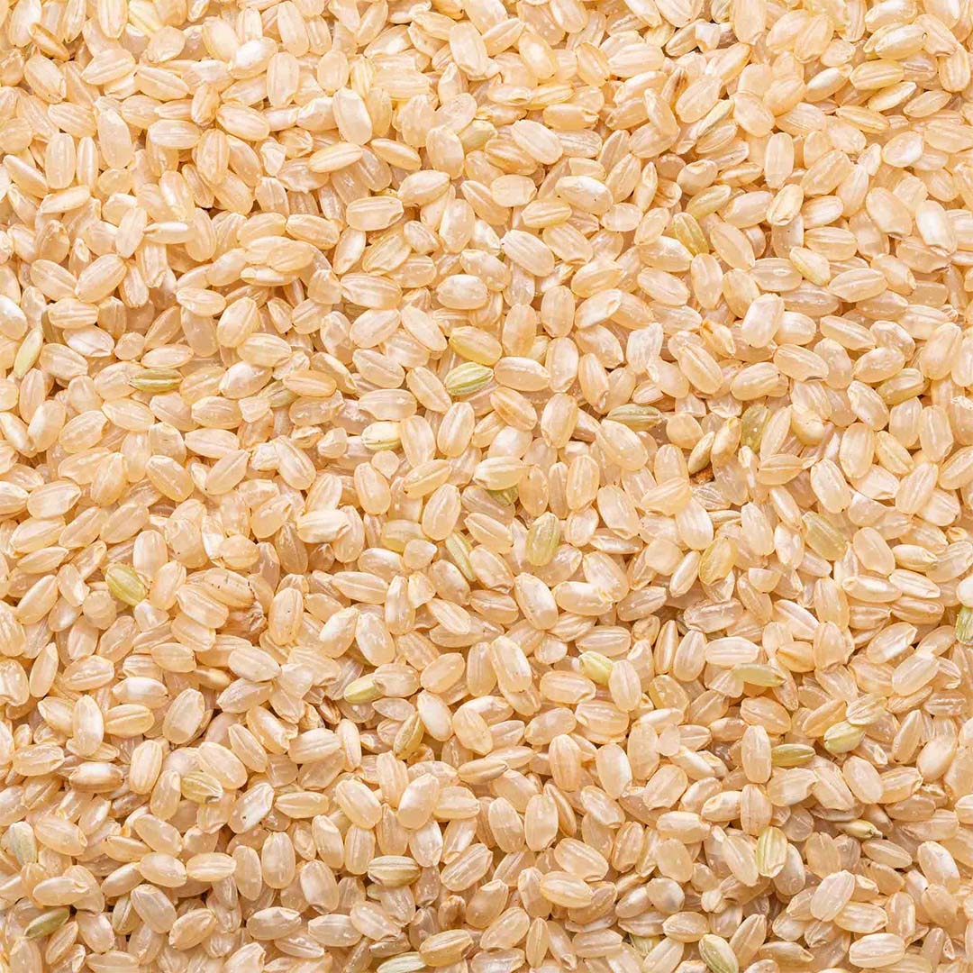 Organic Short Grain Brown Rice 1 lb