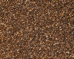 Bob’s Red Mill Whole Grain Teff 24 oz