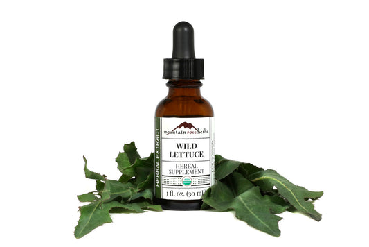 Mountain Rose Herbs Wild Lettuce Tincture 1 fl oz