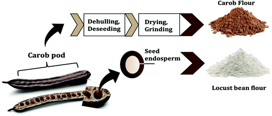 Carob Powder Med Roast 1 LB