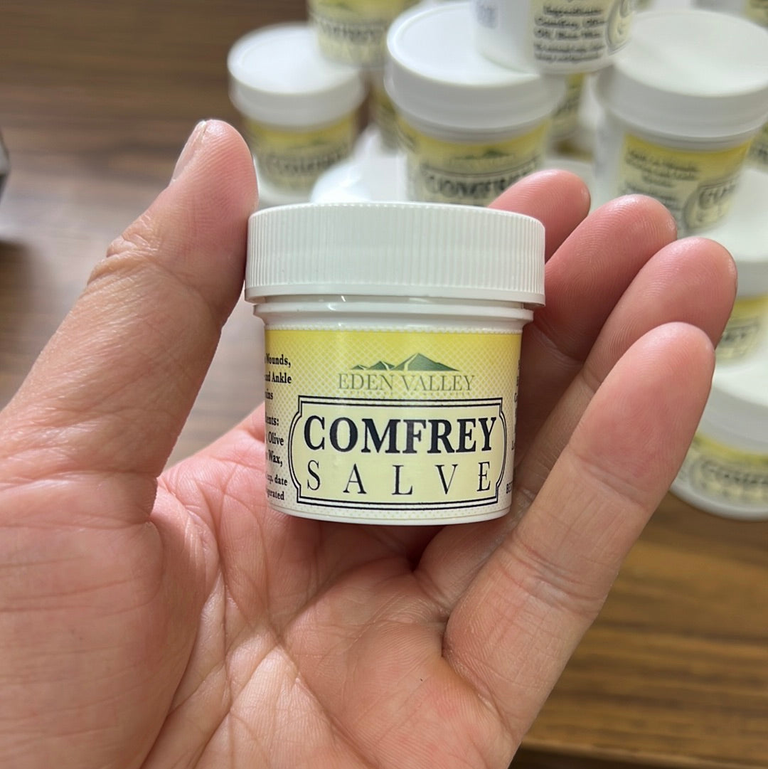 Comfrey (Symphytum Officinale) Salve   LOCALLY SOURCED!