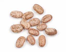 Organic Pinto Beans, Dry
