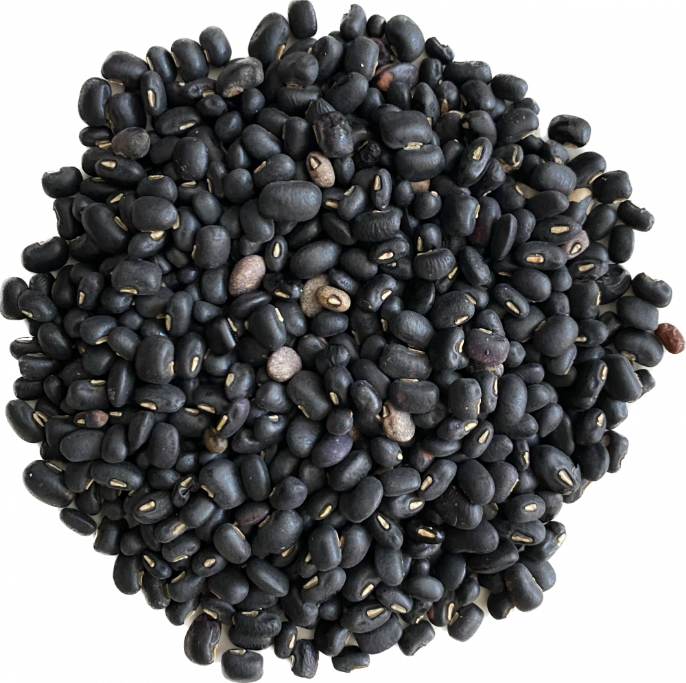 Organic Black Beans, Dry