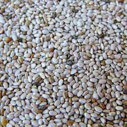 Organic Chia Seeds 1 lb Black, White
