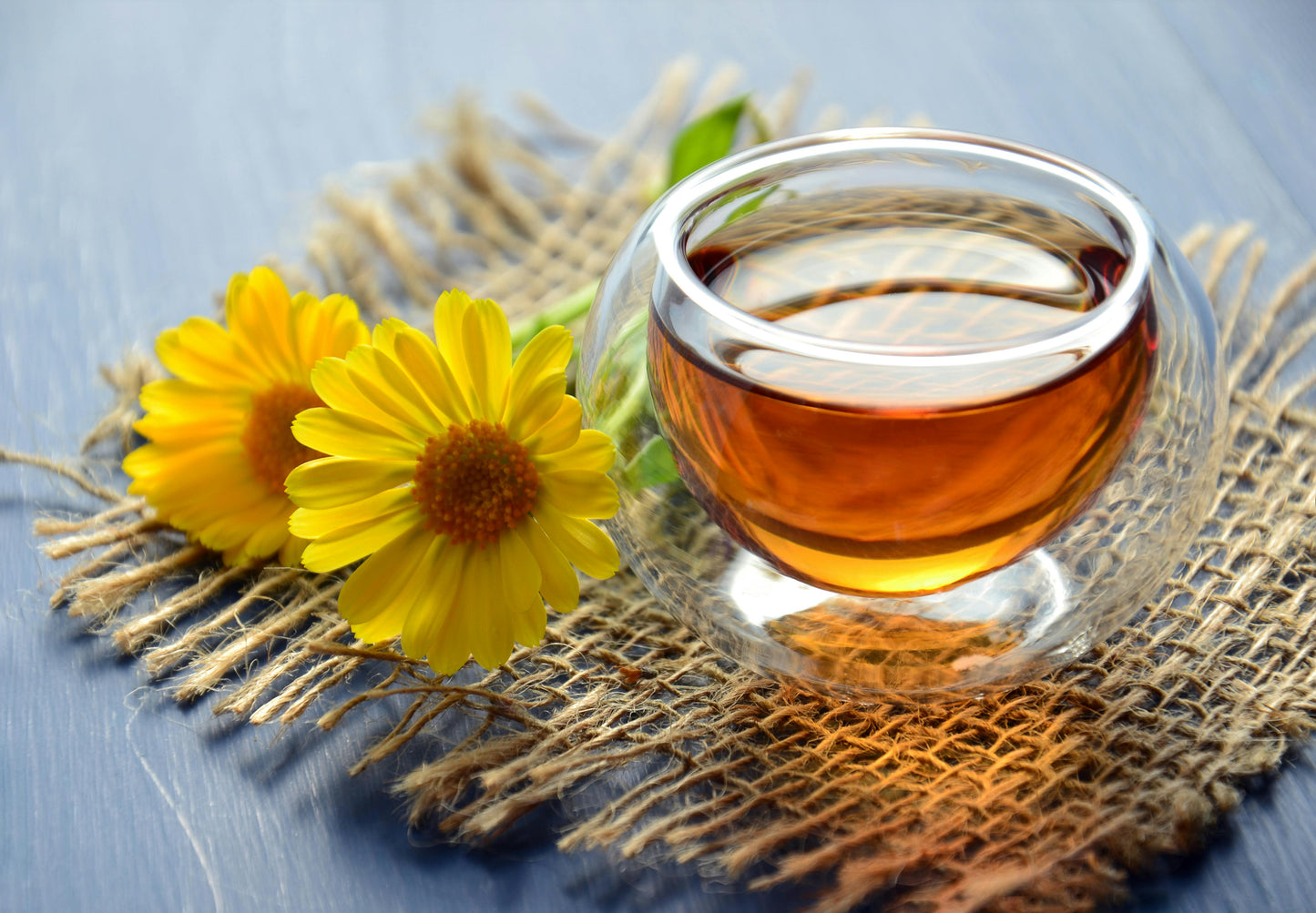 Hope of health Small Flowered Willow Tea 3.5 oz