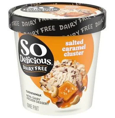 Salted Caramel DF Ice Cream Pint