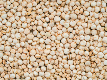 Organic Quinoa 1 lb