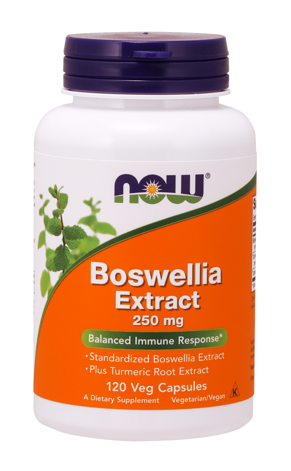 Boswellia Extract 250 mg 120 Veg Capsules (Frankincense)
